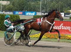 Toreador 150714-6_1